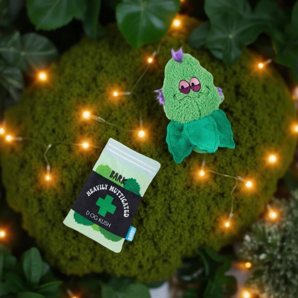 NIP Bark Box 420 Plush Treat Trapper Gina’s Grass Grinder Toy NEW UNOpened